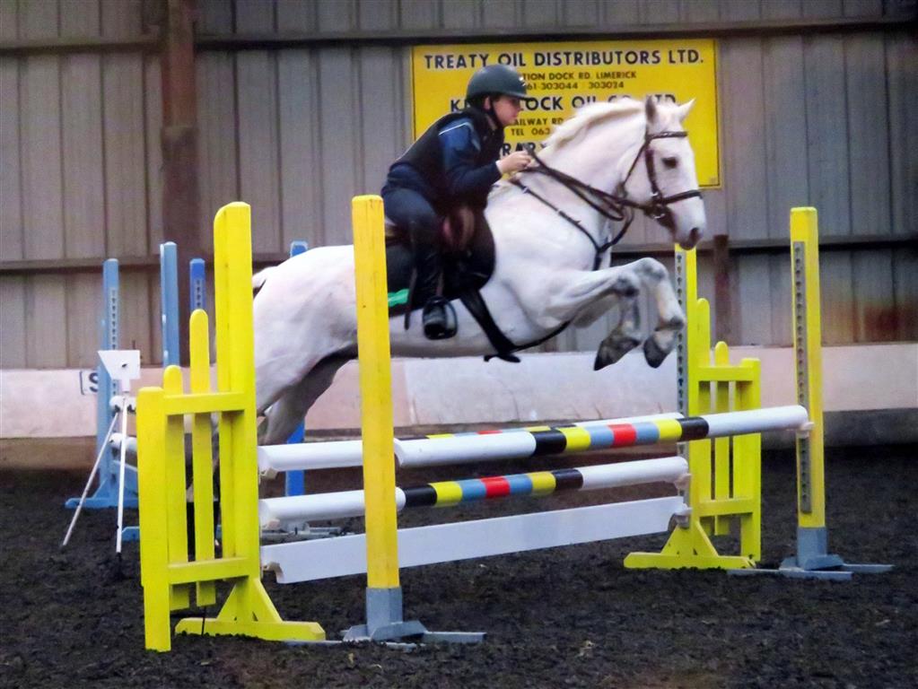 Show Jumping Success!