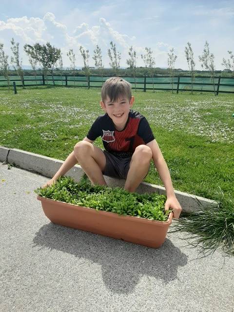 A Covid window box!