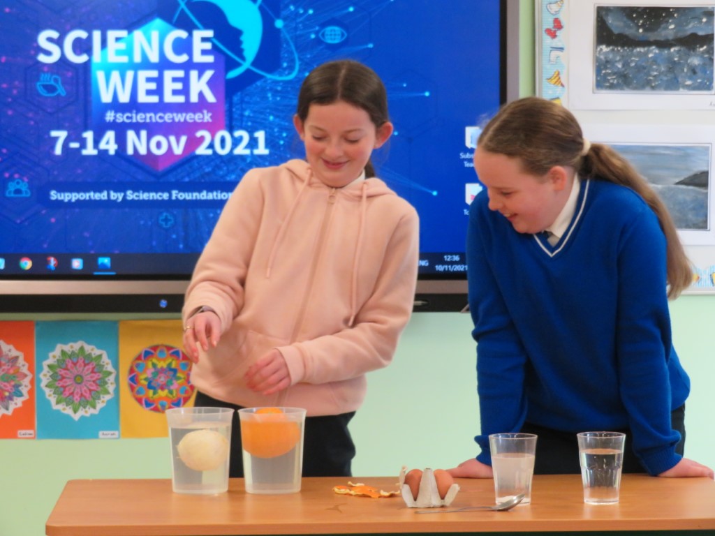 Science Week in 6th Class